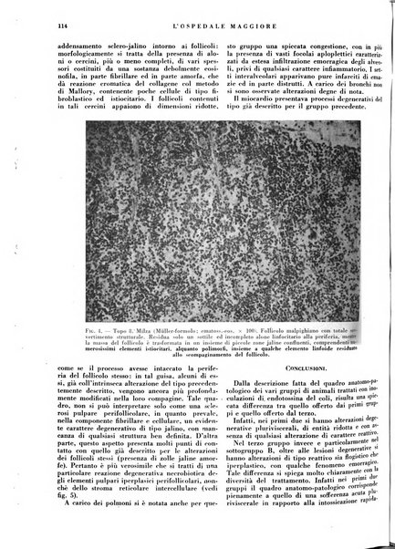 L'Ospedale Maggiore rivista scientifico-pratica dell'Ospedale Maggiore di Milano ed Istituti sanitari annessi