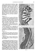 giornale/CFI0360608/1942/unico/00000167