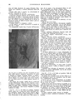 giornale/CFI0360608/1942/unico/00000216