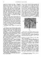 giornale/CFI0360608/1943/unico/00000018