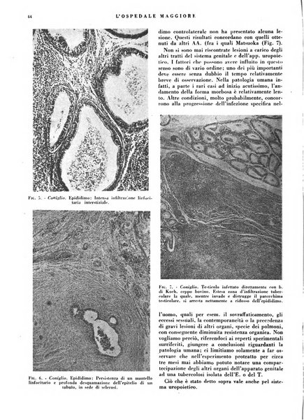 L'Ospedale Maggiore rivista scientifico-pratica dell'Ospedale Maggiore di Milano ed Istituti sanitari annessi