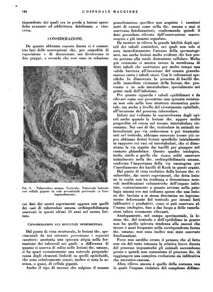 L'Ospedale Maggiore rivista scientifico-pratica dell'Ospedale Maggiore di Milano ed Istituti sanitari annessi