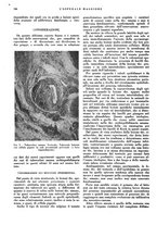 giornale/CFI0360608/1943/unico/00000124