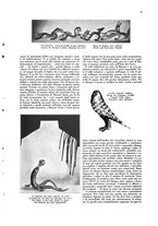 giornale/CFI0360613/1927/unico/00000301