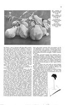 giornale/CFI0360613/1928/unico/00000033