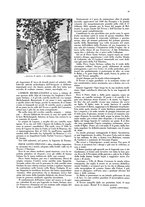 giornale/CFI0360613/1928/unico/00000435