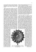 giornale/CFI0360613/1928/unico/00000437