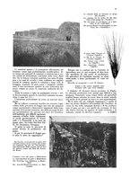 giornale/CFI0360613/1933/unico/00000165