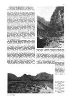 giornale/CFI0360613/1933/unico/00000199