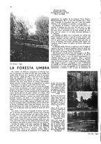 giornale/CFI0360613/1933/unico/00000206