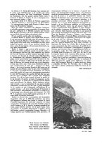 giornale/CFI0360613/1933/unico/00000225