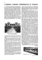 giornale/CFI0360613/1933/unico/00000244