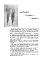 giornale/CFI0360613/1933/unico/00000248