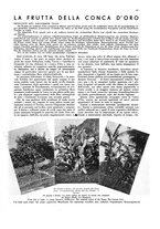 giornale/CFI0360613/1934-1935/unico/00000075