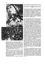 giornale/CFI0360613/1934-1935/unico/00000076