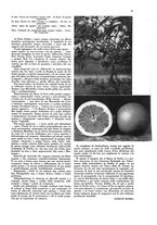 giornale/CFI0360613/1934-1935/unico/00000077