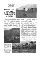giornale/CFI0360613/1934-1935/unico/00000311