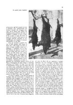 giornale/CFI0360613/1934-1935/unico/00000359