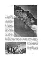 giornale/CFI0360613/1934-1935/unico/00000545