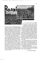 giornale/CFI0360613/1934-1935/unico/00000561