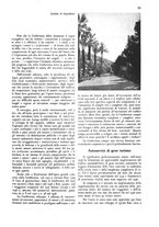 giornale/CFI0360613/1937/unico/00000041