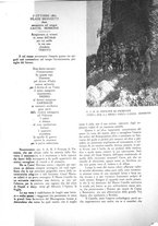 giornale/CFI0360613/1938/unico/00000047