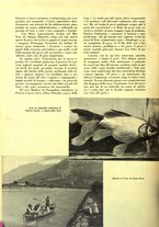 giornale/CFI0360613/1940-1941/unico/00000060