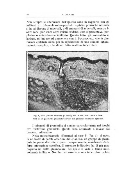 L'oto-rino-laringologia italiana