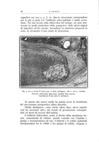 giornale/CFI0360651/1930/unico/00000024