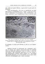 giornale/CFI0360651/1930/unico/00000031