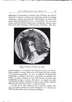 giornale/CFI0360651/1930/unico/00000135