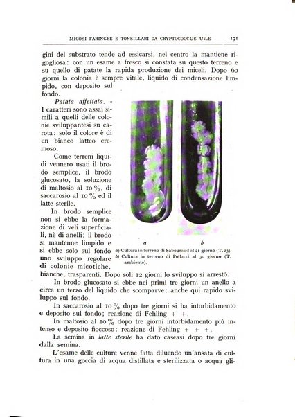 L'oto-rino-laringologia italiana