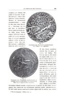 giornale/CFI0360651/1930/unico/00000283