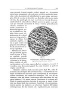 giornale/CFI0360651/1930/unico/00000291