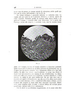 giornale/CFI0360651/1930/unico/00000376