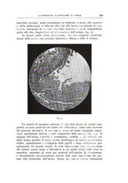 giornale/CFI0360651/1930/unico/00000377