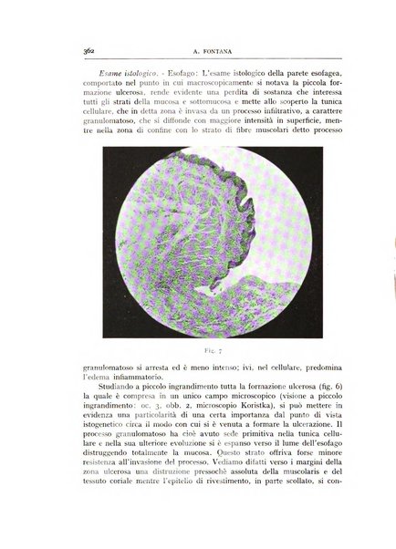 L'oto-rino-laringologia italiana