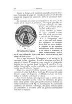 giornale/CFI0360651/1930/unico/00000428