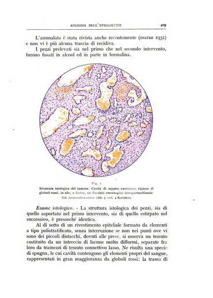 L'oto-rino-laringologia italiana