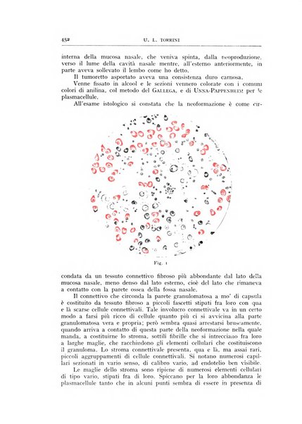 L'oto-rino-laringologia italiana