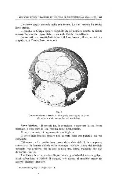 L'oto-rino-laringologia italiana