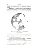 giornale/CFI0360651/1930/unico/00000556