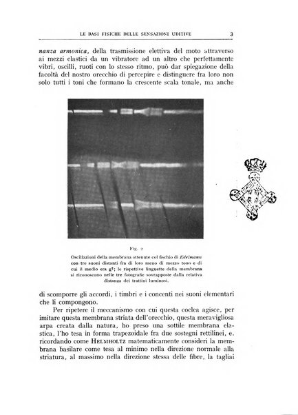 L'oto-rino-laringologia italiana