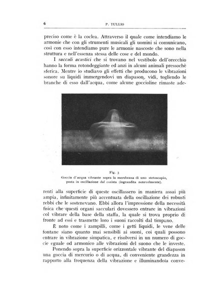 L'oto-rino-laringologia italiana