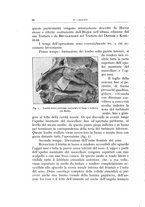 giornale/CFI0360651/1932/unico/00000102