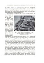 giornale/CFI0360651/1932/unico/00000103