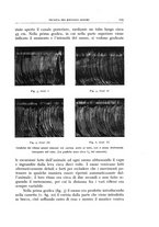 giornale/CFI0360651/1932/unico/00000125