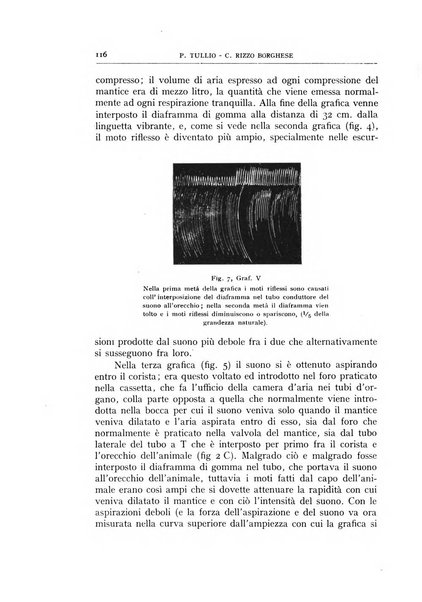 L'oto-rino-laringologia italiana