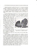 giornale/CFI0360651/1932/unico/00000247