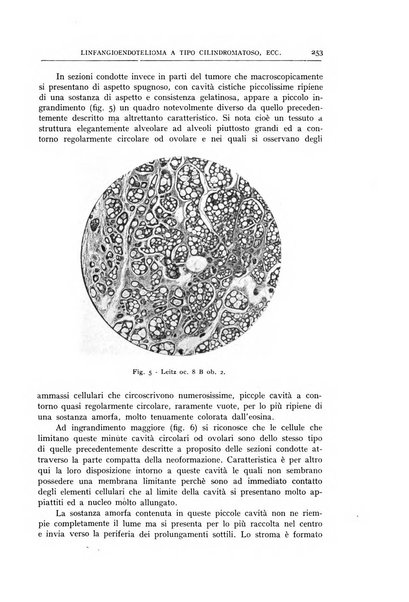 L'oto-rino-laringologia italiana